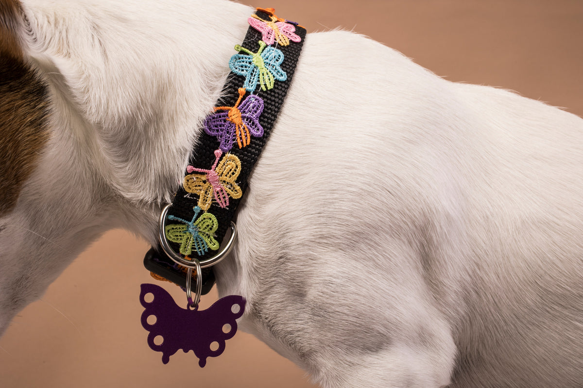 Friendship Bracelet Dog Collar BW Squary