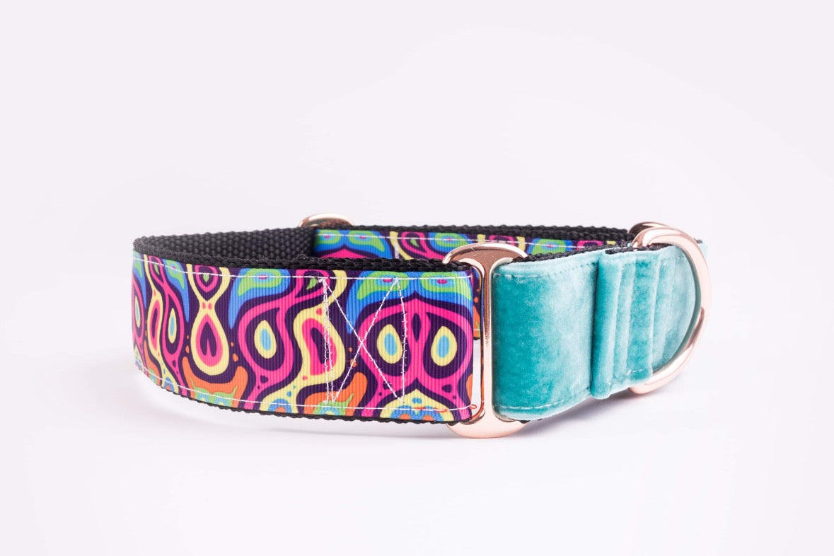 Boomerjack collars best sale