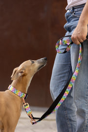 Coleira Pastel Plaid