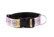 Puffy Dog Collar