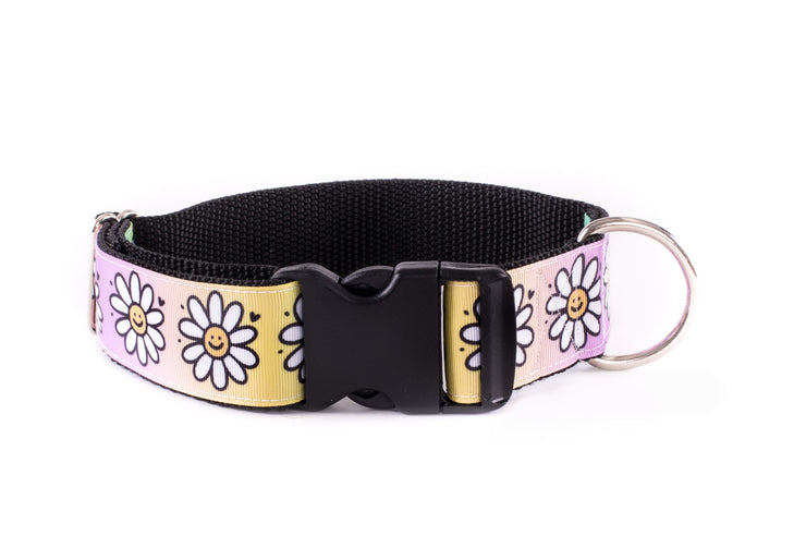 Puffy Dog Collar