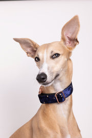 Glimmer Dog Collar | Dark Blue