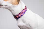 Heart of Lola Dog Collar