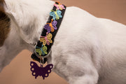 Pupperfly Dog Collar