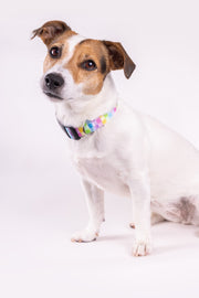 Pastel Plaid Dog Collar