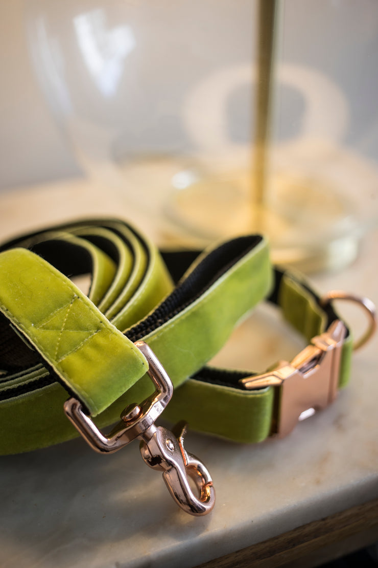 Lime Velvet Dog Collar