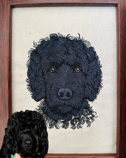 Pet Portrait