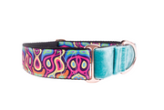 Martingale Dog Collar | Many Patterns