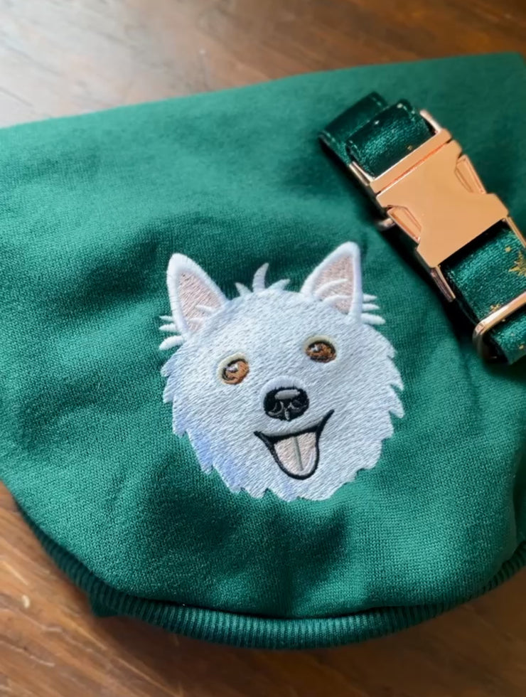 Camisolas personalizadas para cães