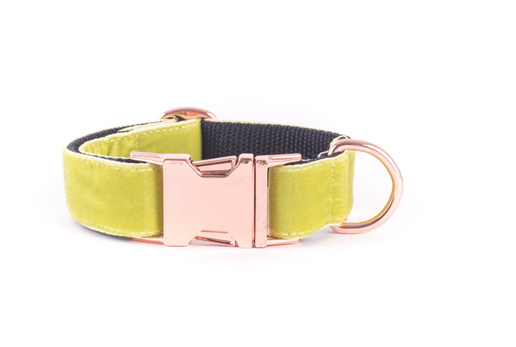 Lime Velvet Dog Collar