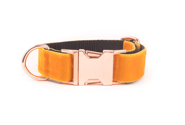 Orange Velvet Dog Collar