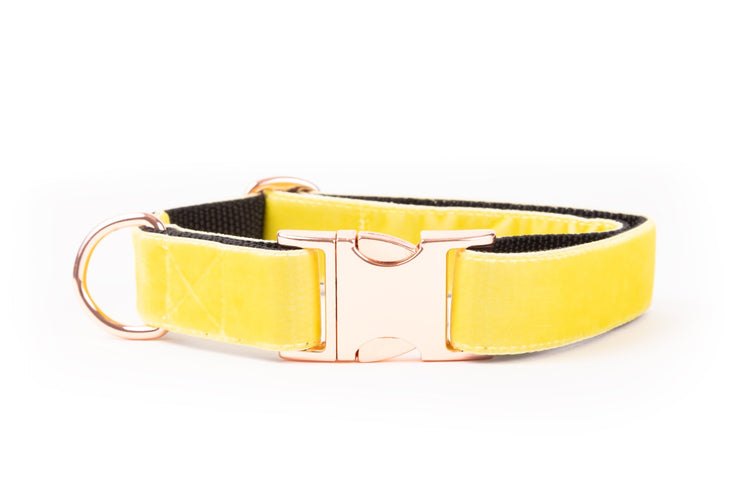 Neon Yellow Velvet Dog Collar