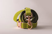 Lime Velvet Dog Collar