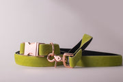 Lime Velvet Dog Collar