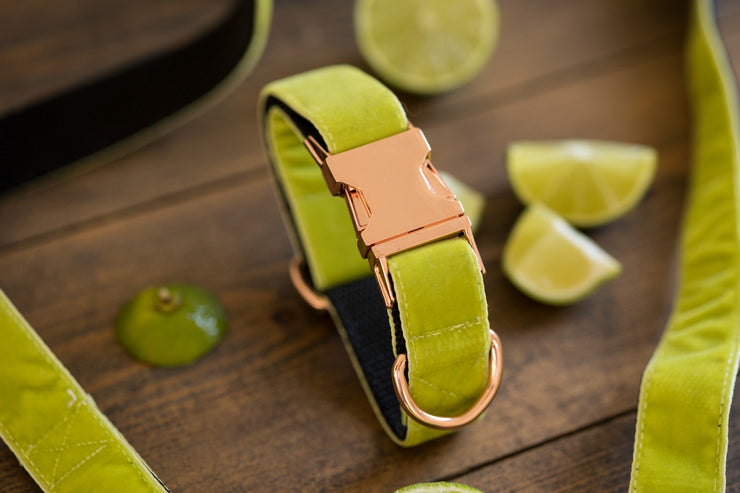 Lime Velvet Dog Collar