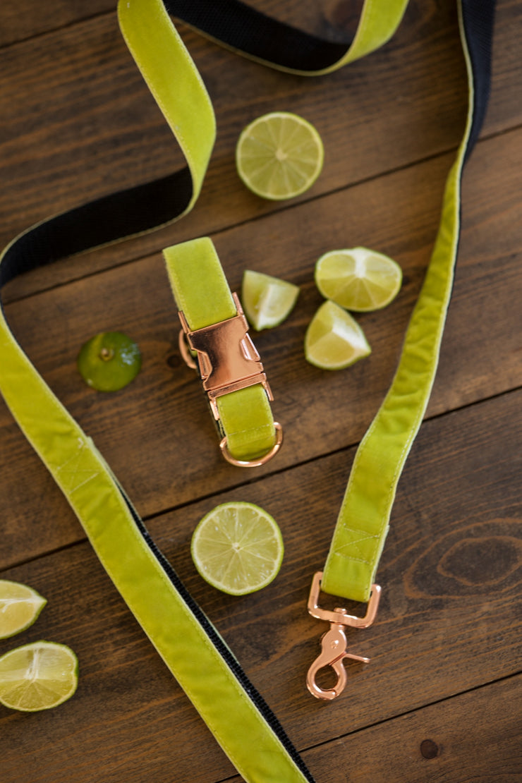 Lime Velvet Dog Collar