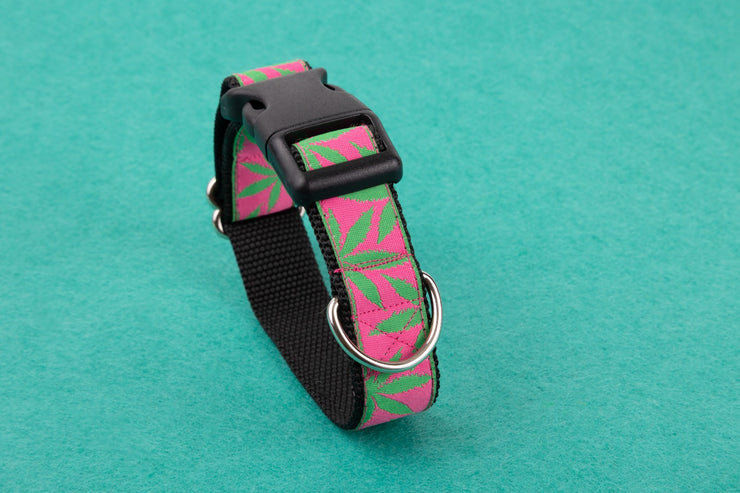 Puff Puff Paws Dog Collar
