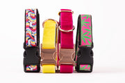 Puff Puff Paws Dog Collar