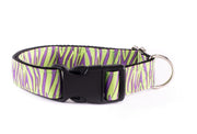 Maracujá Dog Collar