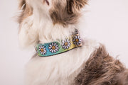 Puffy Dog Collar