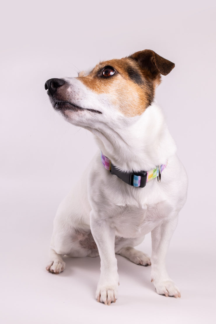 Pastel Plaid Dog Collar