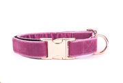 Orchid Velvet Dog Collar