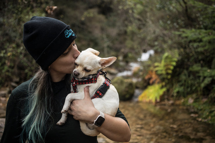 Embroidered Beanie | Dog Mom