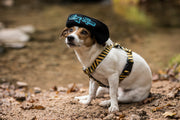 Embroidered Beanie | Dog Mom
