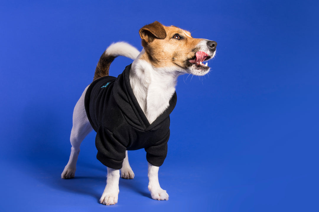 Tail Wag Dog Hoodies