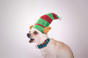 T-Rexmas Dog Collar