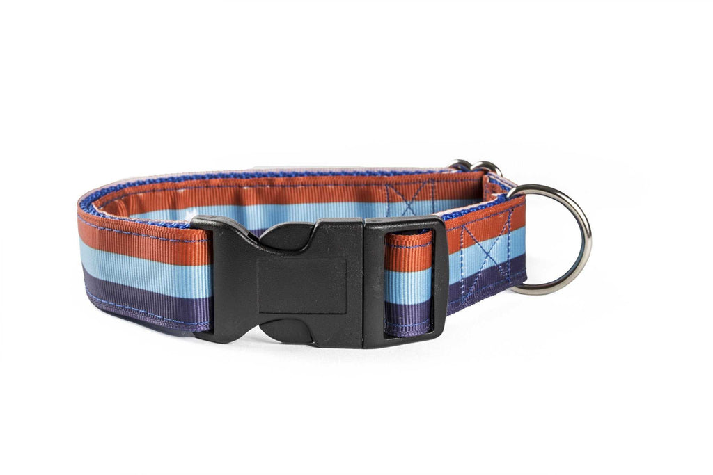 Lola's unique dog clearance collars