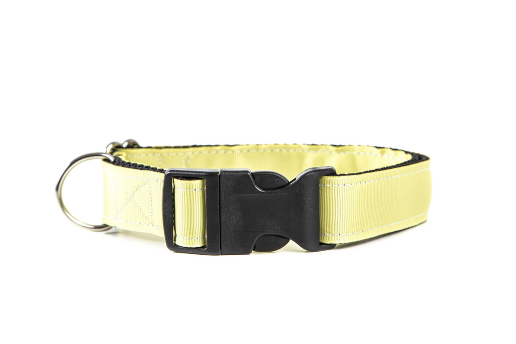 Mango Dog Collar Tail Wag