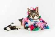 Neon Cat | Cat Collar tail-wag.myshopify.com