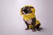 The Yellow Raincoat tail-wag.myshopify.com